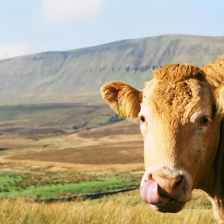 Pennycroft Hotel Kettlewell
