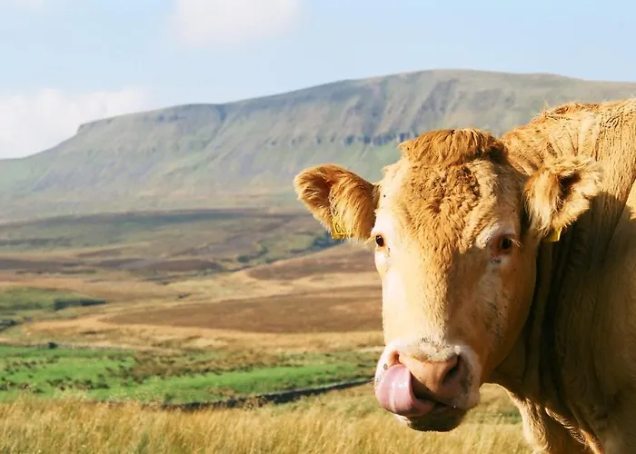 Pennycroft Hotel Kettlewell